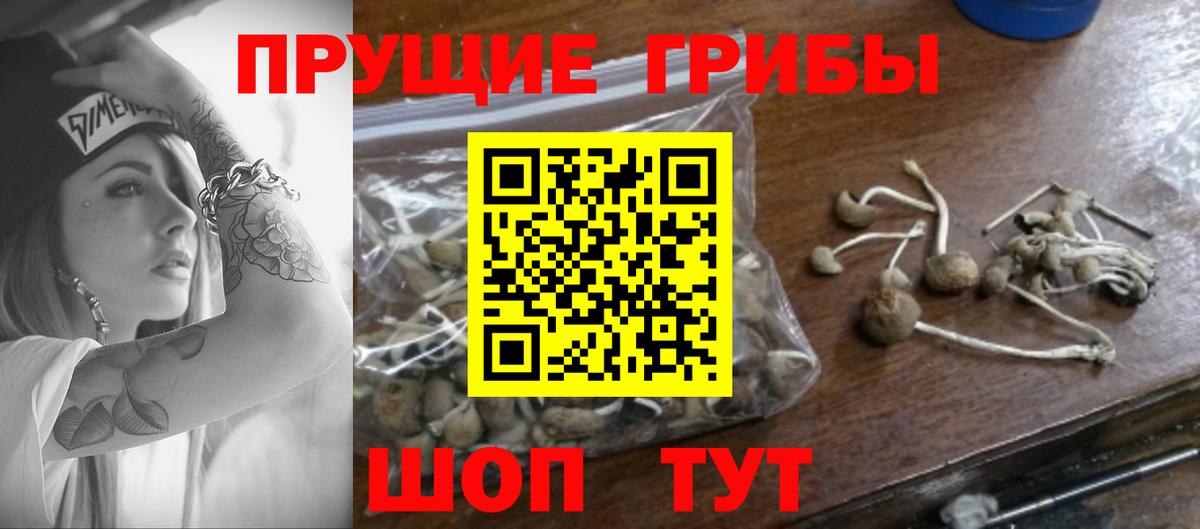 Псилоцибиновые грибы MAGIC MUSHROOMS Дмитров